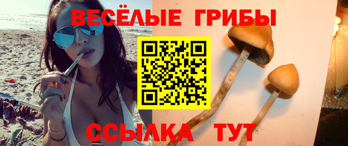 Белореченск  где найти наркотики  Вход с VPN  Галлюциногенные грибы GOLDEN TEACHER 